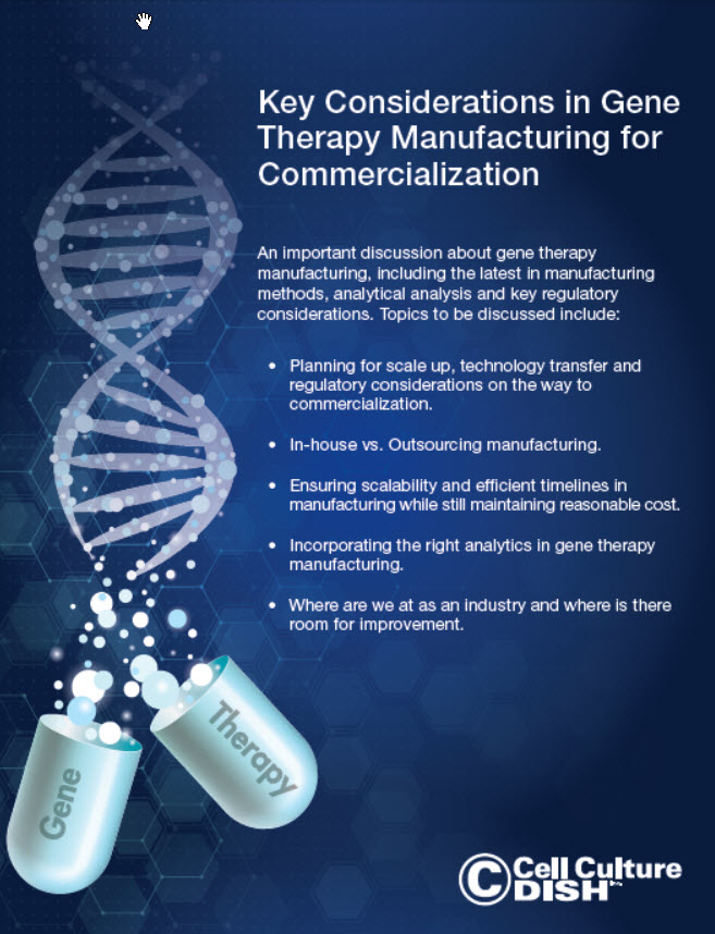 Key Considerations In Gene Therapy Manufacturing Biotechlogic Inc